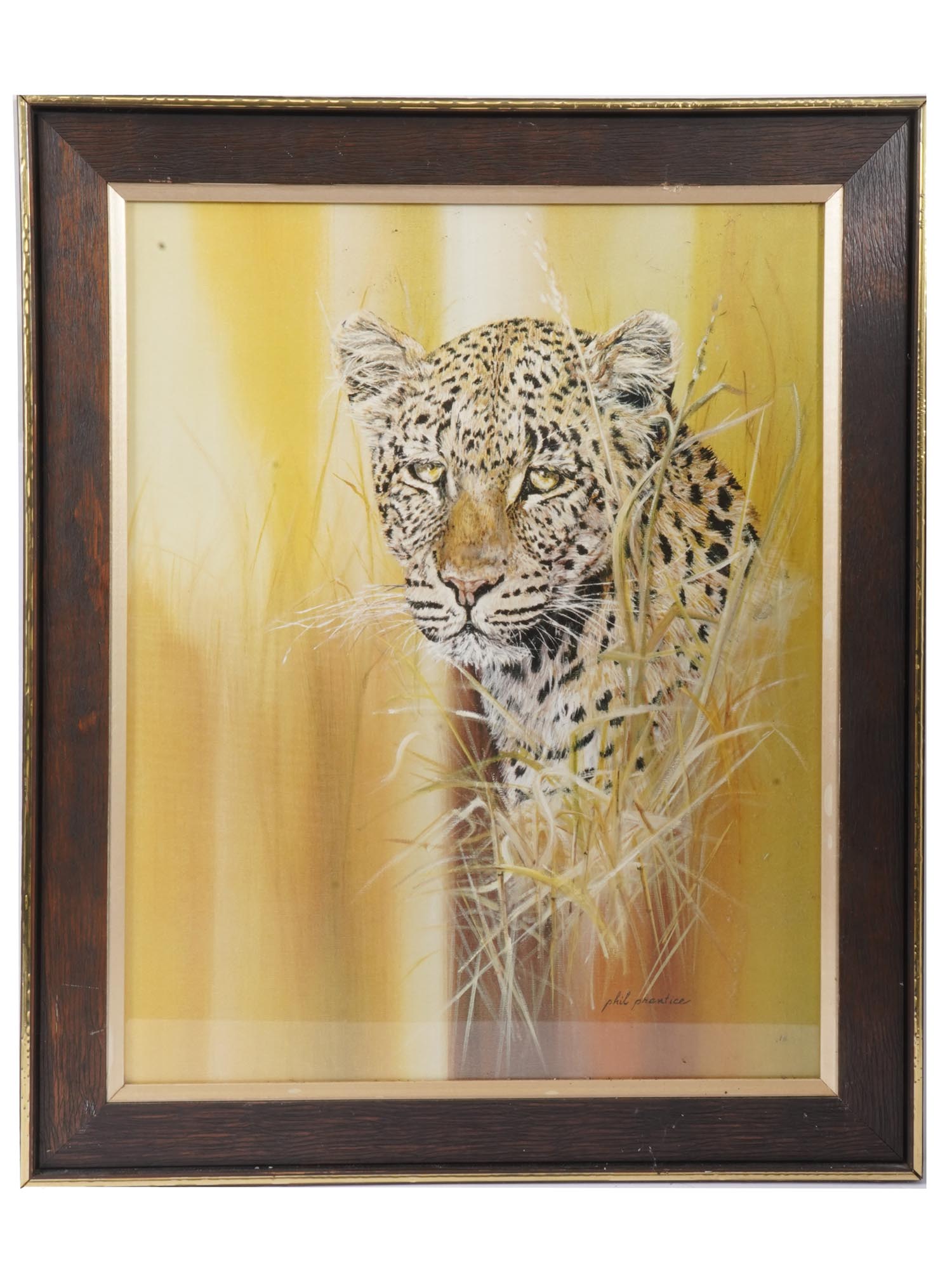 AMERICAN ART PRINT OF LEOPARD BY PHIL PRENTICE PIC-0